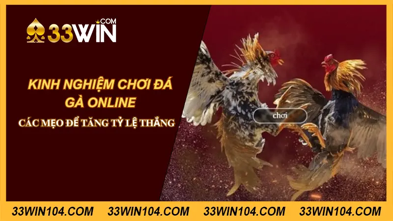 kinh nghiệm chơi đá gà online